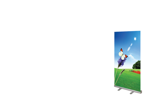 Anypromo coupon code