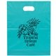 aerial view a teal orchid colored frosted die - cut convention bag 15 x 12, image 1 of 2
