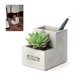a gray kikkerland small concrete desk planter