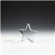 1/2 star acrylic paperweight - 5 x 5 x 1/2