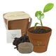 aerial view a terra cotta - color may vary mini blossom kit with biodegradable pot, image 1 of 3