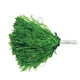 a green rally pom poms