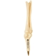 aerial view a white skeleton pen - knee joint, image 1 of 5