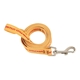 aerial view a group of fine - print pet leash, image 2 of 3