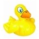 16 Inflatable Rubber Duckie