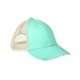 a seafoam/ tan adams distressed ollie cap - all