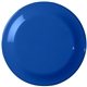 aerial view a blue large flying discus, image 1 of 2