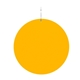 a gold circle 2 1/2 gold circle plastic medallion badges