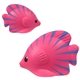 aerial view a pink/blue tropical fish - stress reliever, image 1 of 2
