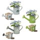 aerial view a group of mini watering can blossom kit, image 1 of 5