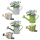 aerial view a group of mini watering can blossom kit, image 2 of 5