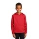 aerial view a red port company(r) youth performance fleece pullover hooded sweatshirt, image 1 of 6