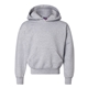 aerial view a light steel champion - powerblend(r) youth hooded sweatshirt, image 1 of 3