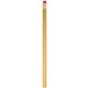 2 Cost Buster Pencil