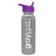 aerial view a silver bottle & violet lid terrain - 24 oz metalike bottle with flip straw lid, image 1 of 2