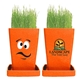 a orange seed cartoon expression planter, 1- pack planter, full color digital