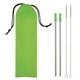 aerial view a silver straw with lime green with matching tip and pouch 2- pack stainless steel straw kit, image 1 of 2