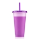 24 oz Chameleon Tumbler