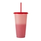 24 oz Chameleon Tumbler