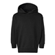 aerial view a black rabbit skins toddler pullover fleece hoodie - all, image 1 of 3