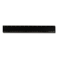 a recycled black pro - scale 12 plastic ruler