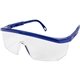 a blue frame / clear lens integra safety glasses