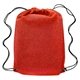 aerial view a red road runner sportpack - 16-1/2 x 13, image 1 of 3