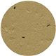 a latte brown circle seed shape bookmark
