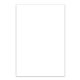 a white full color digital calendar magnet