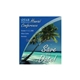 a custom save the date - tropical theme 2 - budget square corner cut magnets
