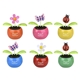 a assorted only - may vary solar powered dancing flower toy