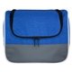 aerial view a blue ridge insulated cooler bag, image 1 of 2