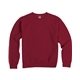 aerial view a crimson fall comfortwash by hanes unisex crew sweatshirt, image 1 of 6