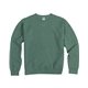 aerial view a cypress green comfortwash by hanes unisex crew sweatshirt, image 1 of 6