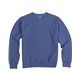 aerial view a deep forte comfortwash by hanes unisex crew sweatshirt, image 1 of 6