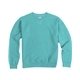 aerial view a mint comfortwash by hanes unisex crew sweatshirt, image 1 of 6