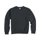 aerial view a new railroad comfortwash by hanes unisex crew sweatshirt, image 1 of 6