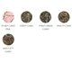 aerial view a group of 4 round - static cling - stock shape, image 4 of 4