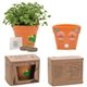 aerial view a group of wall sprouts planter blossom kit, image 1 of 2
