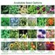 aerial view a group of wall sprouts planter blossom kit, image 2 of 2