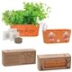 aerial view a group of wall sprouts indoor garden blossom kit, image 1 of 2