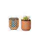 aerial view a terracotta modern sprout(r) tiny terracotta grow kit good luck clover, image 1 of 2