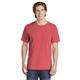 aerial view a watermelon comfort colors (r) heavyweight ring spun tee, image 1 of 6