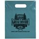 aerial view a teal frosted plastic flexo ink multi color die cut handle bag 9.5 x 12, image 1 of 2