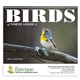 aerial view a group of birds of north america - spiral calendar, image 3 of 17