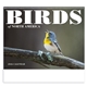 aerial view a group of birds of north america - spiral calendar, image 4 of 17