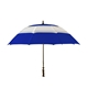 aerial view a royal blue/white 62 arc the squall, image 1 of 2