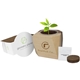 a maple/walnut geometric wooden planter
