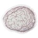 aerial view a white brain hot / cold pack, image 1 of 2