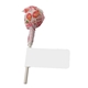 aerial view a white dum dum lollipop with flag, image 1 of 3